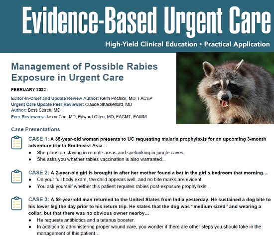 Importance of Protecting Felines from Viral Dangers